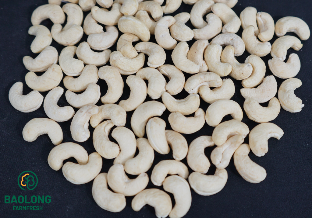 Cashew Nut