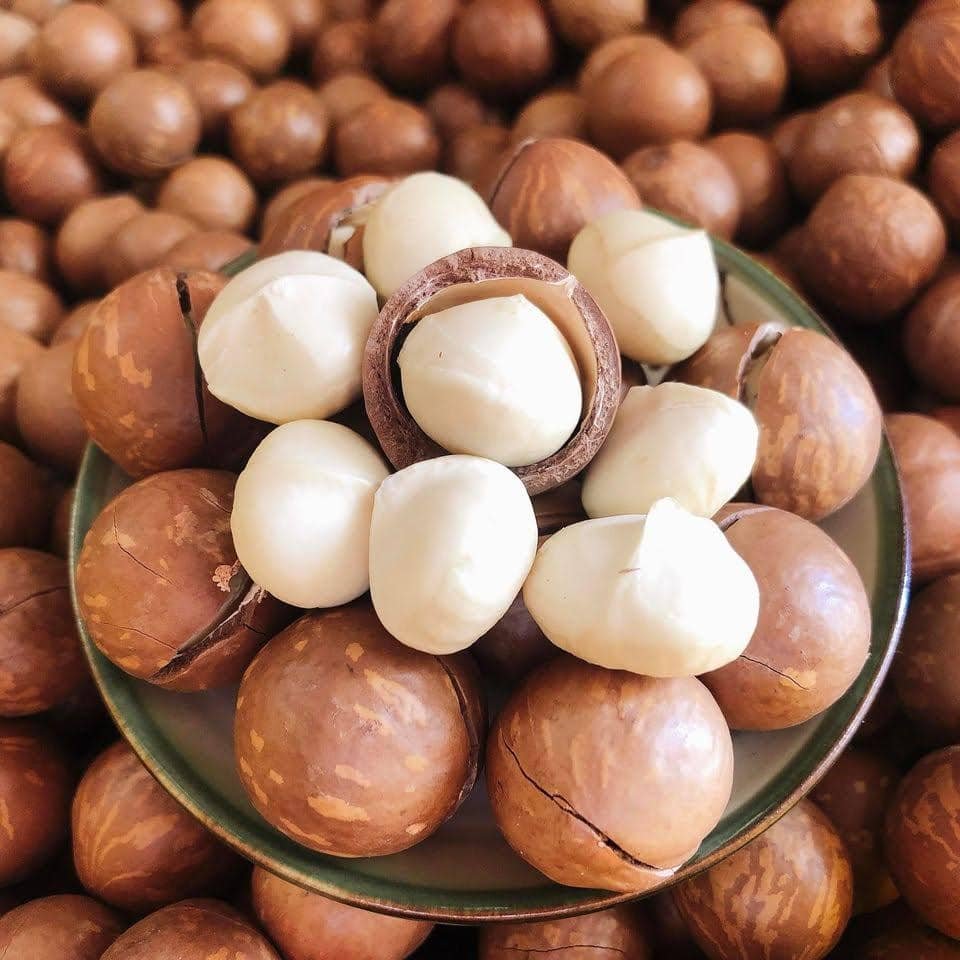 macadamia nuts