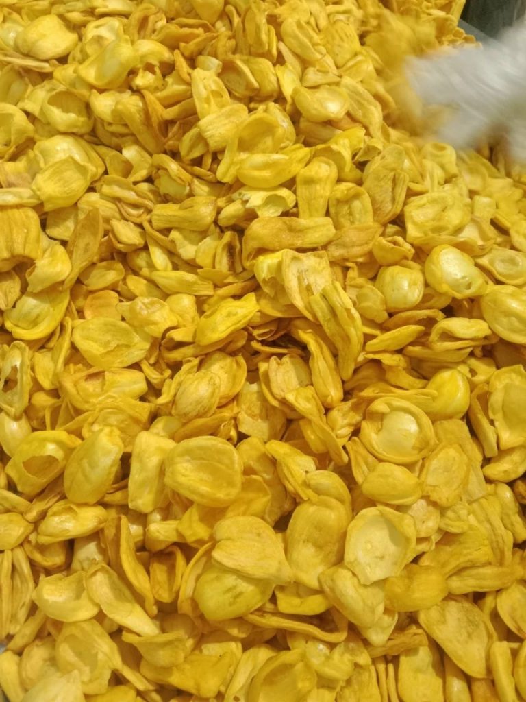 DRIED JACKFRUIT