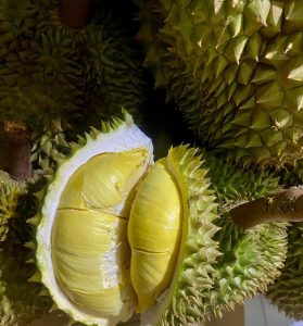 frozen durian