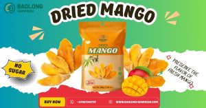 DRIED MANGO