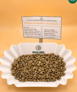 Vietnam Robusta Honey Processed Coffee S18