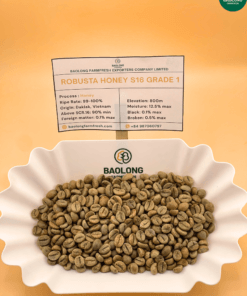 Vietnam Robusta Honey Processed Coffee S16