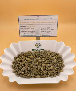 Robusta Coffee S18 Wet Polished Grade 1